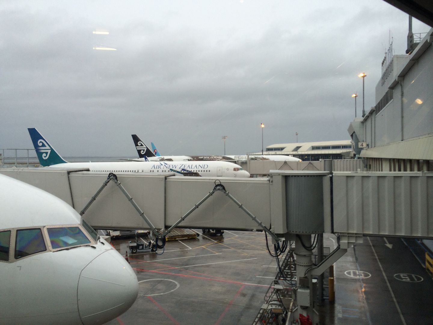 Review of Air New Zealand flight from Auckland to Melbourne in Premium Eco